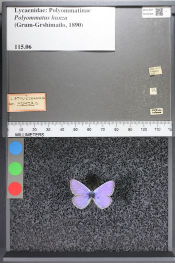 Media type: image;   Entomology 55404